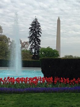 22717_10206835185306915_7639328135567481635_n