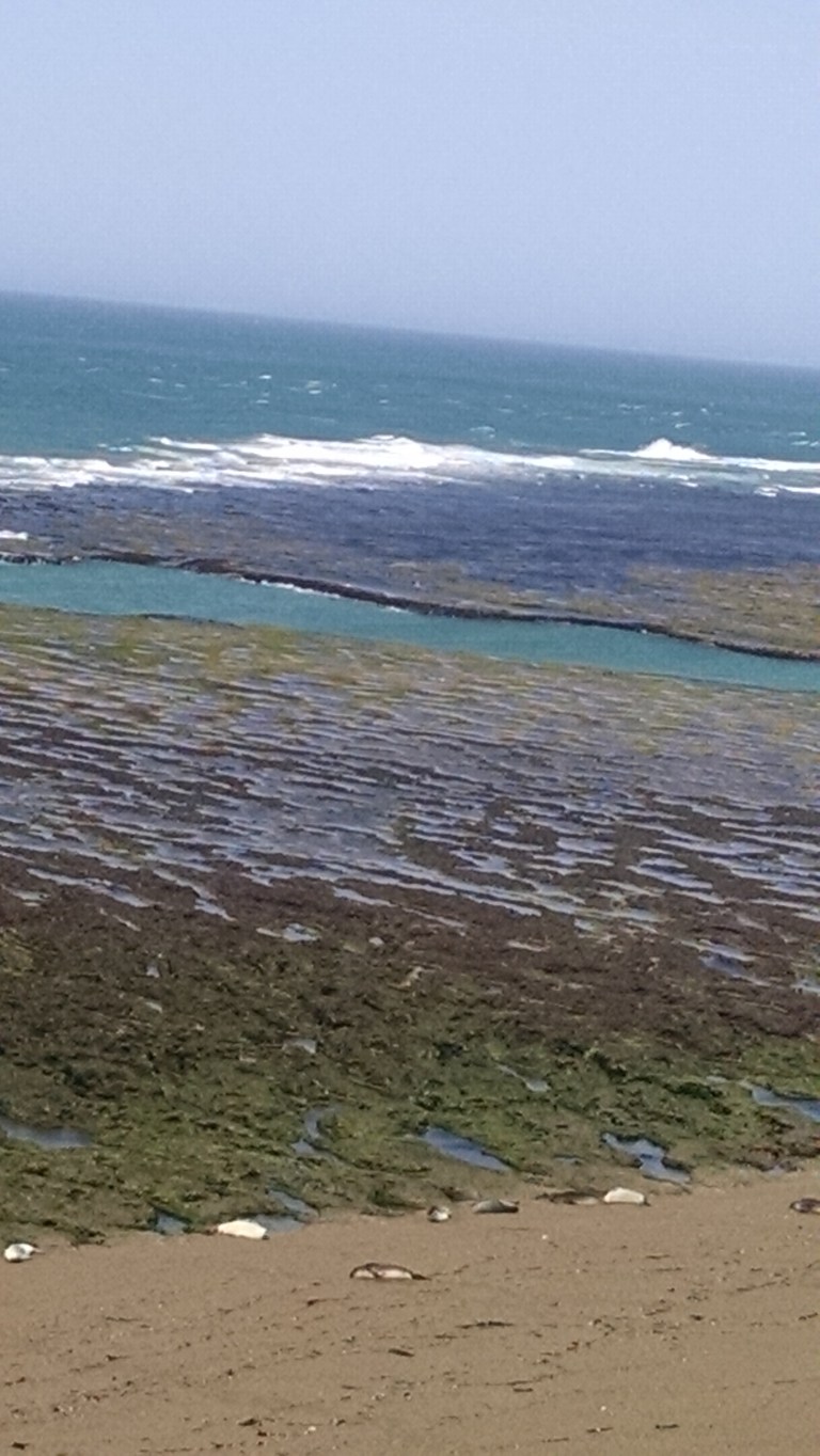 IMG_20161114_151936735