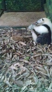 IMG_20161119_175705007