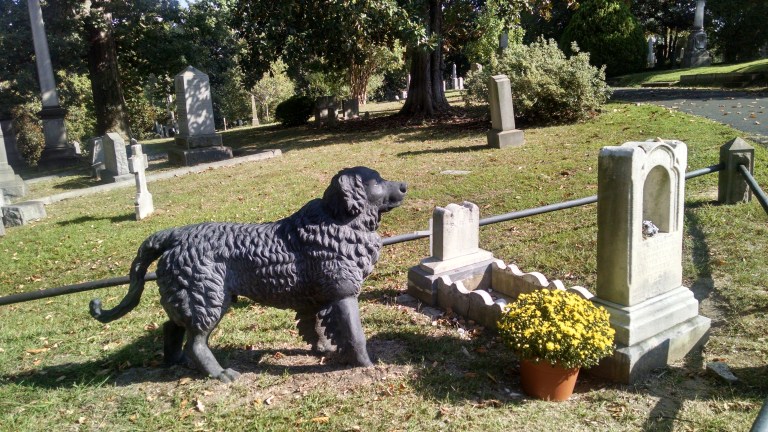 IMG_20170924_153344232_HDR