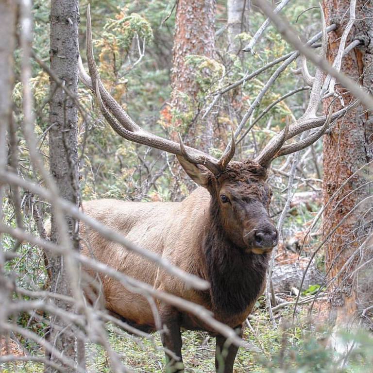 Rock Mountain National Park.jpg