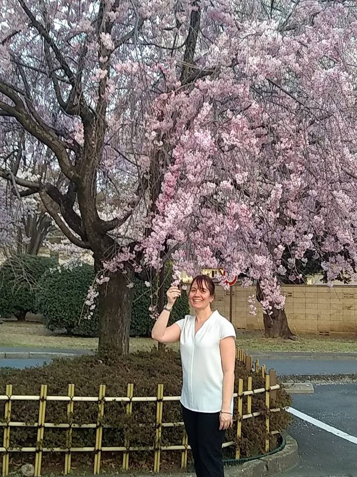 cherry3.jpg