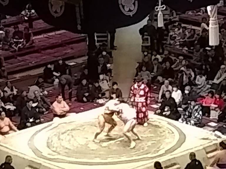 Sumo 1.jpg