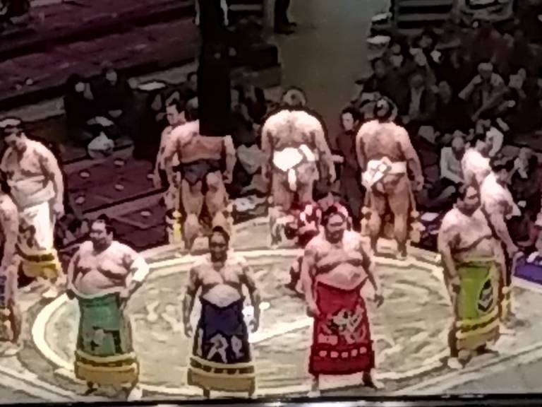 Sumo 2.jpg