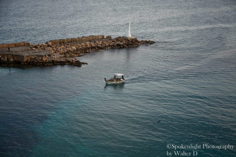 1555423_10152232457391514_883941120_n