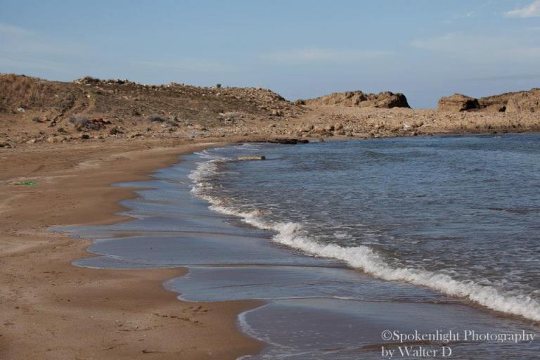 998639_10152232459176514_2061160923_n