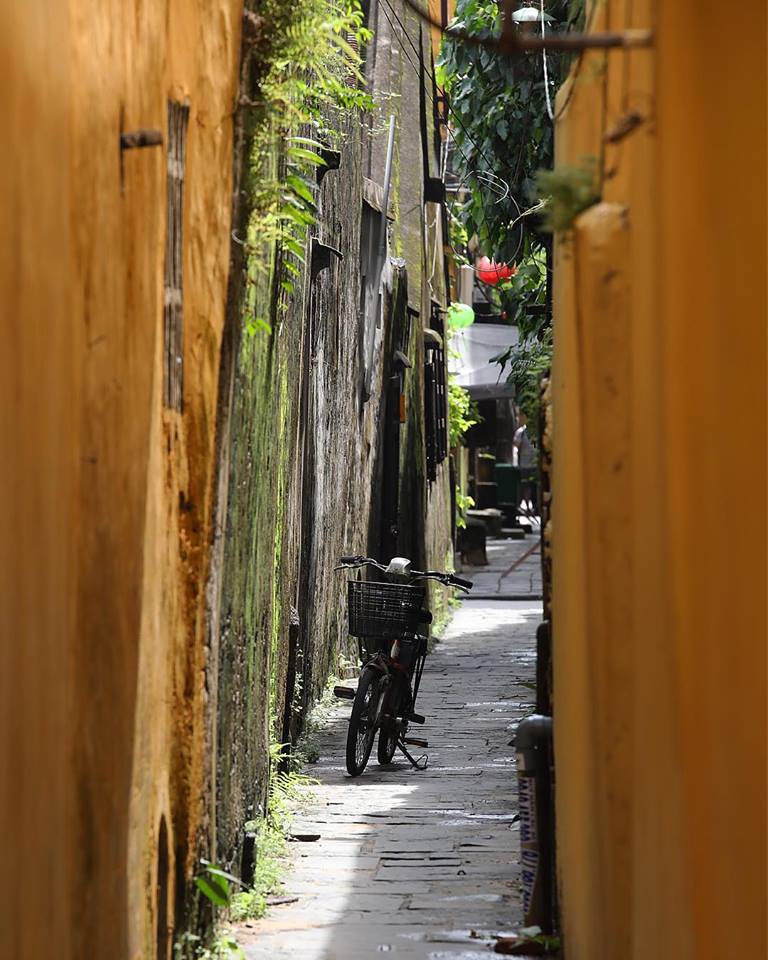 49673959_2647708591907723_40918252213239808_n