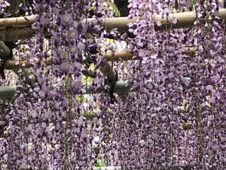 IMG_0857