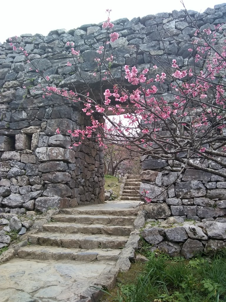 IMG_20190218_135944383