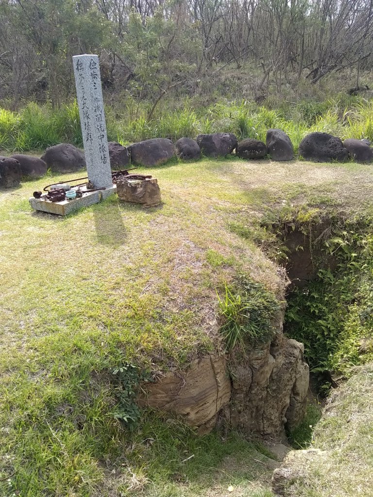 IMG_20190327_092034949_BURST000_COVER