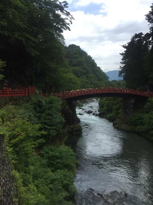 67201430_10220534380538133_9098540822441230336_n