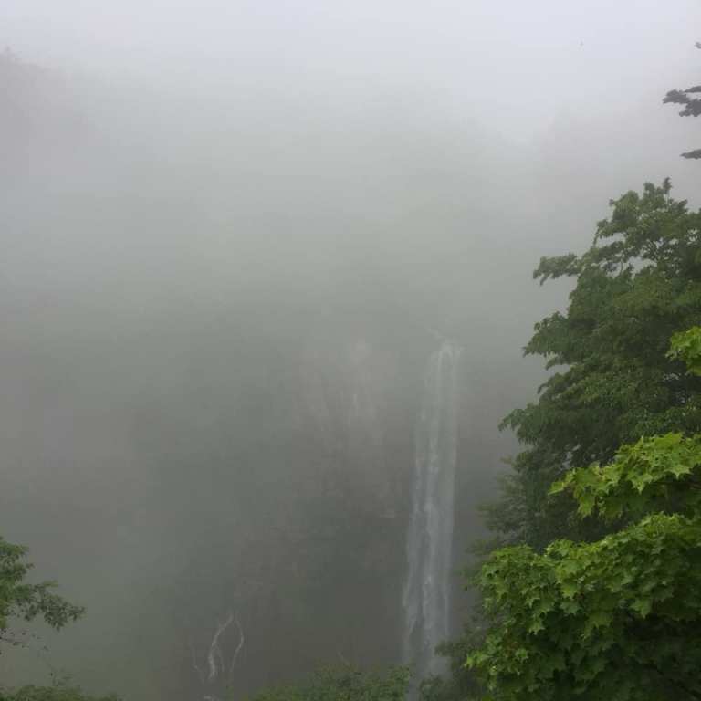 67217544_10220534381378154_2139392221672112128_n