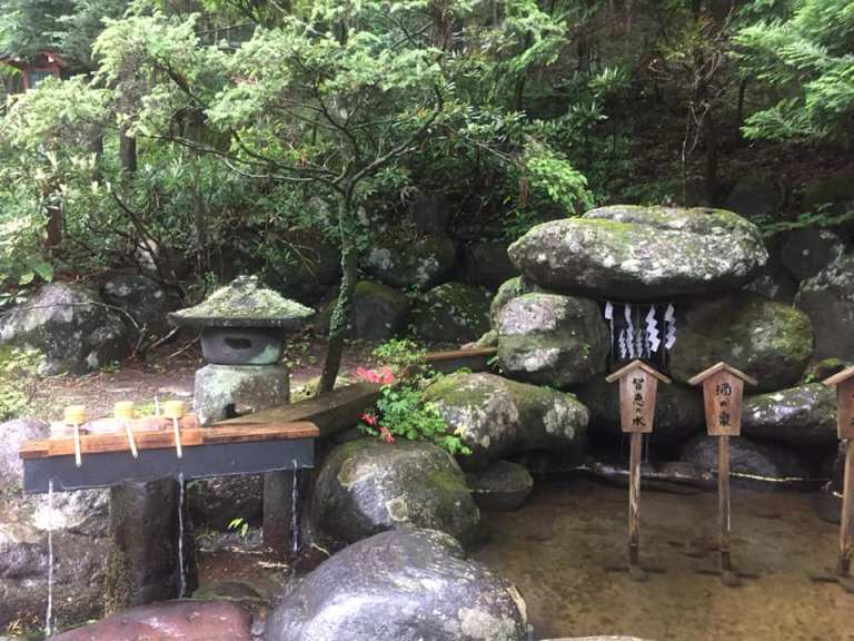 67322767_10220534381818165_9065571038569431040_n