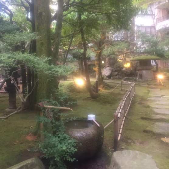 68799509_10220833762942506_8802945672593539072_n (1).jpg