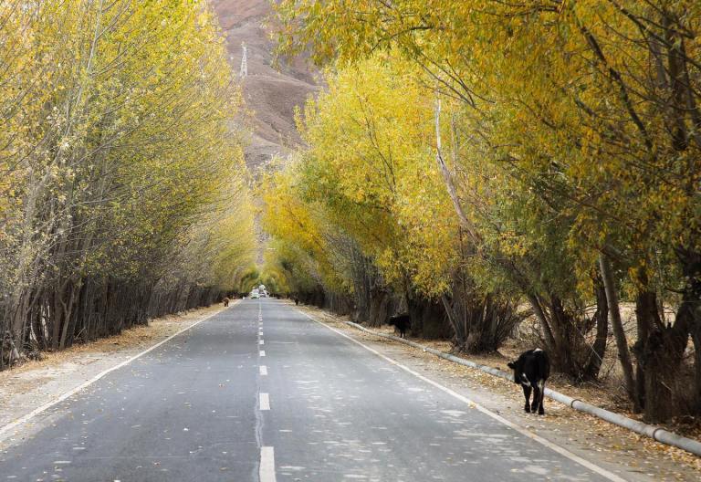 72870811_10157836946291514_3314702055058178048_o