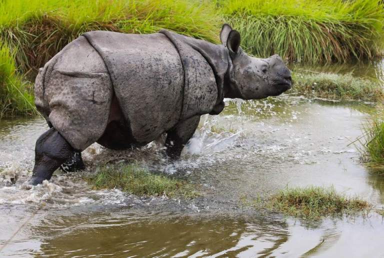 71704514_10157789876646514_3482376165249777664_n