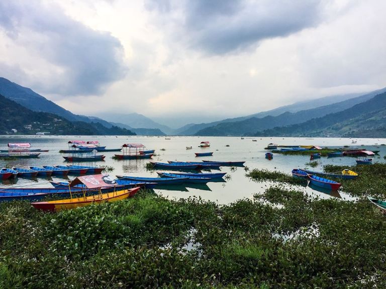 72223826_10157796548781514_7103703559136346112_o