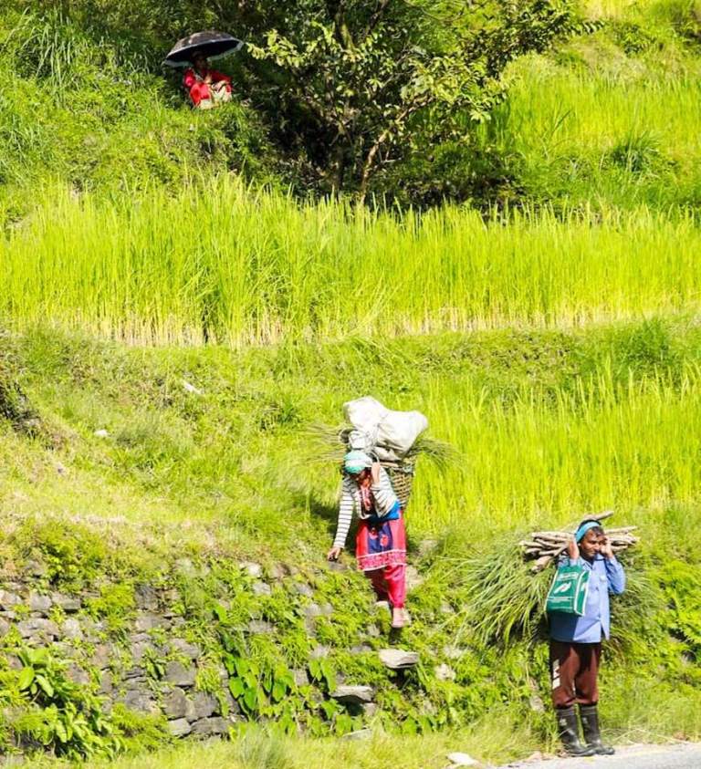 72457411_10157799019361514_7711152539135115264_n