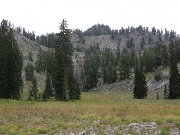 10391511_1218045059891_6540969_n