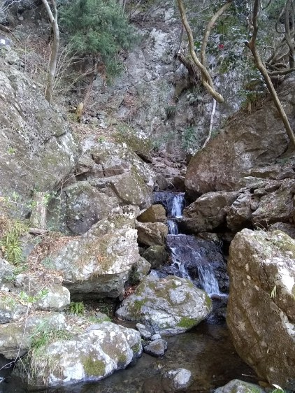 IMG_20180331_081030221