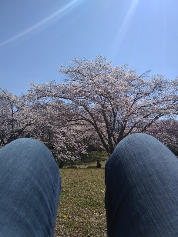 IMG_20190413_094051411