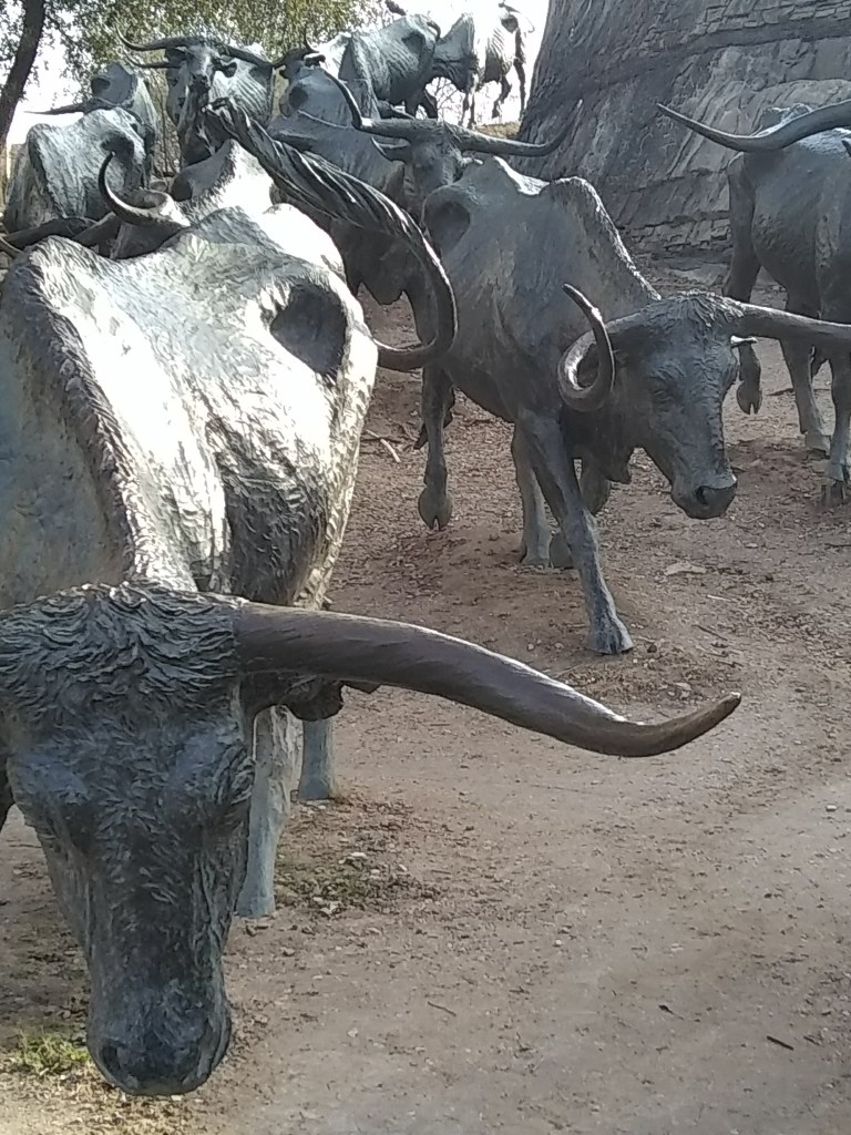 IMG_20180203_090834693